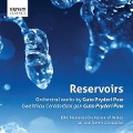 Cover-Bild zum Titel 'Reservoirs-Orchesterwerke' von 'van Steen/BBC National Orchestra of Wales'