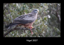 Cover-Bild zum Titel 'Vögel 2027 Fotokalender DIN A3' von 'Tobias Becker'