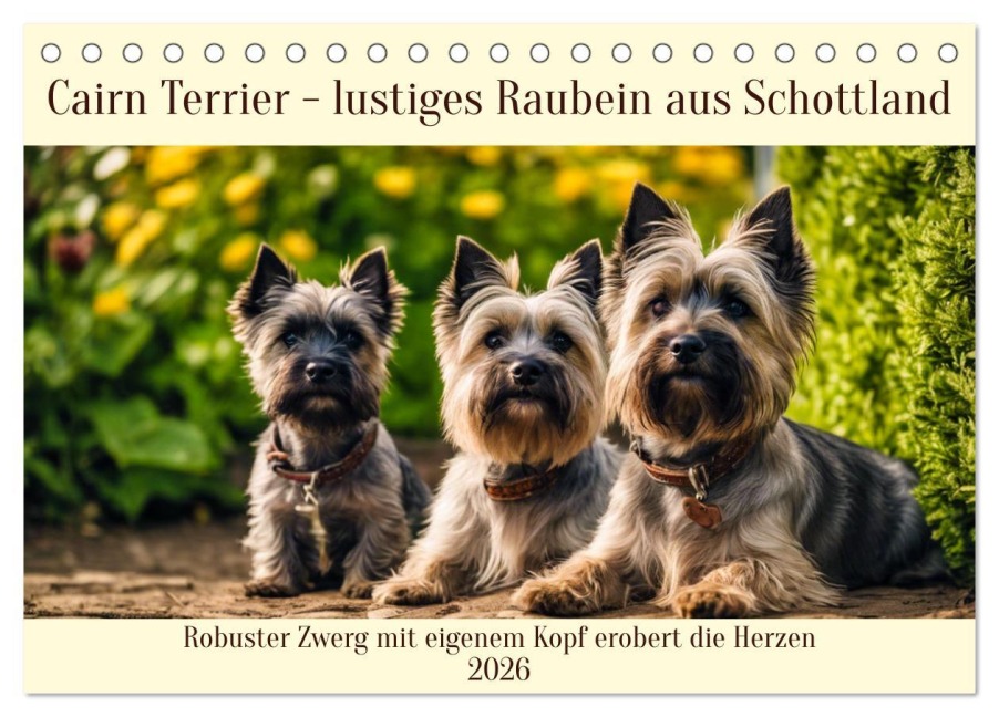 Cairn Terrier - lustiges Raubein aus Schottland (Tischkalender 2026 DIN A5 quer), CALVENDO Monatskalender - Claudia Kleemann