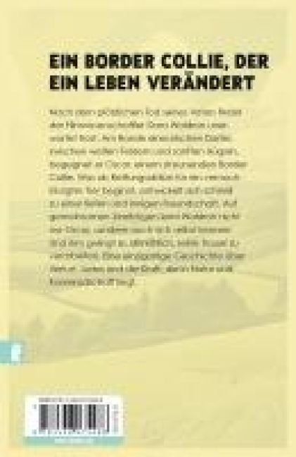 InsideView 6
