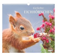 Cover-Bild zum Titel 'Geliebte Eichhörnchen 2027' von ''