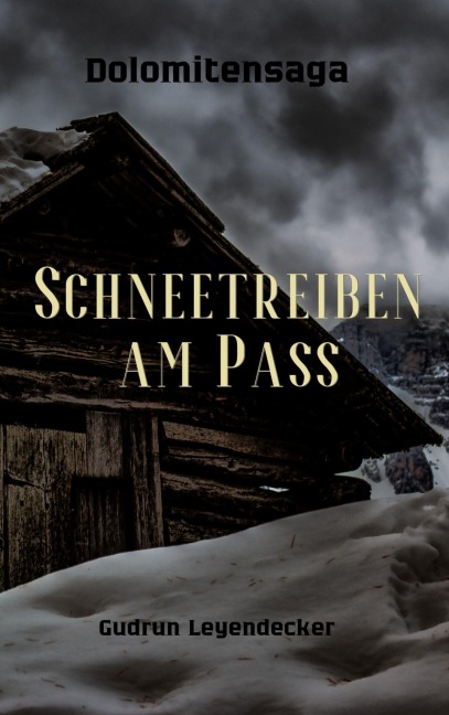 Schneetreiben am Pass - Gudrun Leyendecker