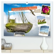 Naturerlebnis Rømø (hochwertiger Premium Wandkalender 2026 DIN A2 quer), Kunstdruck in Hochglanz - Dieter Gödecke