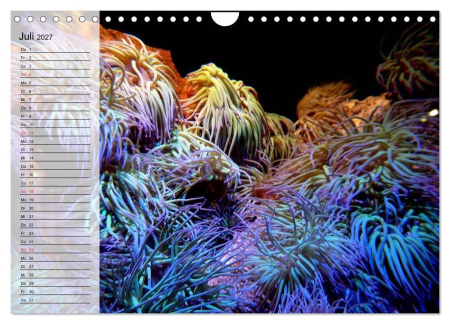 InsideView 12