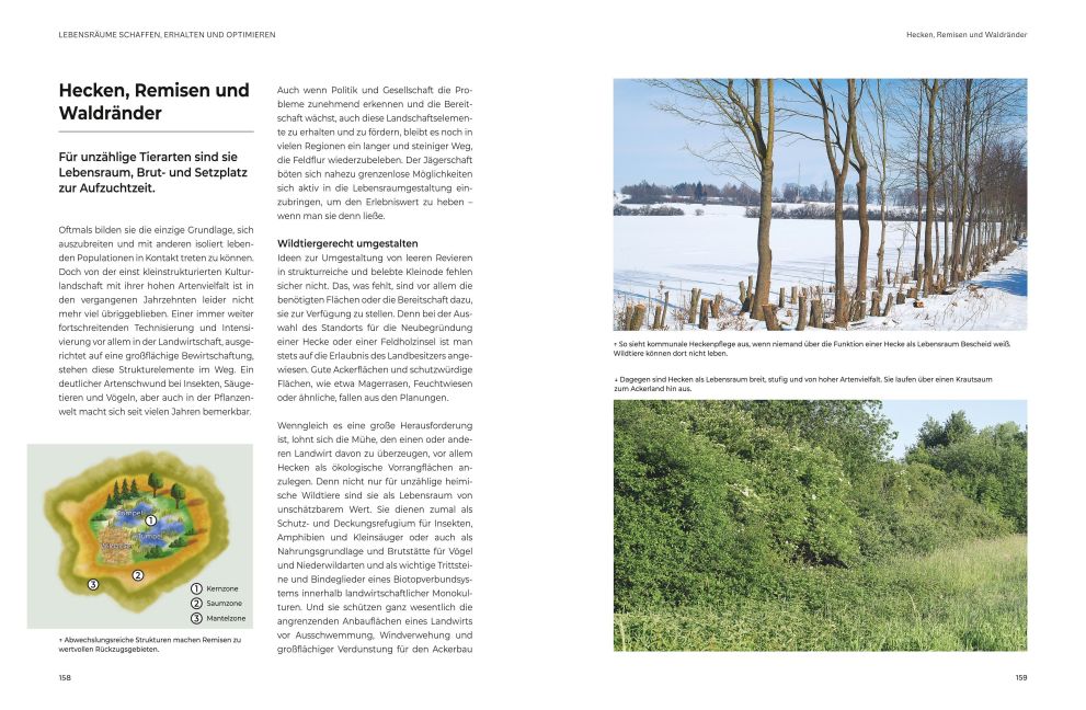 InsideView 4