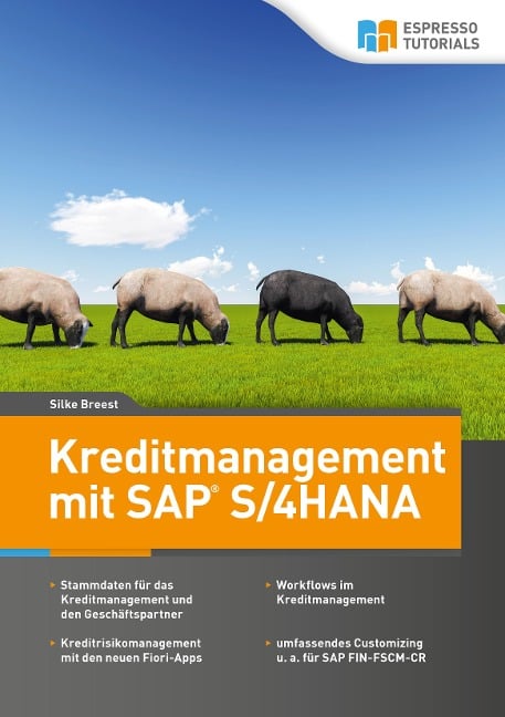 Kreditmanagement mit SAP S/4HANA - Breest Silke