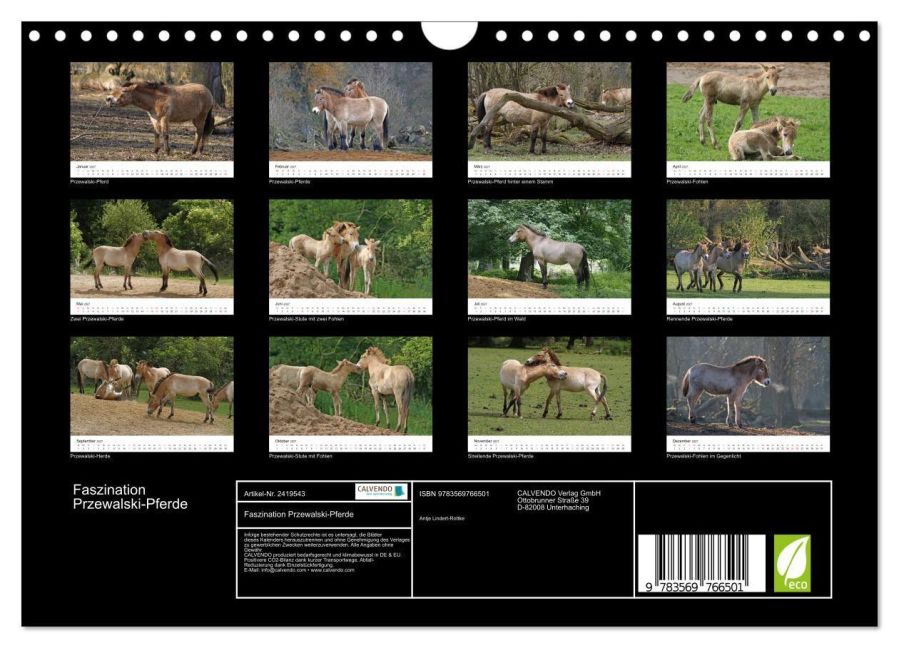 InsideView 5