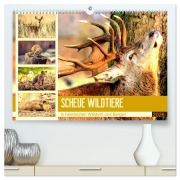 Scheue Wildtiere in heimischen Wäldern und Bergen (hochwertiger Premium Wandkalender 2026 DIN A2 quer), Kunstdruck in Hochglanz - Rose Hurley
