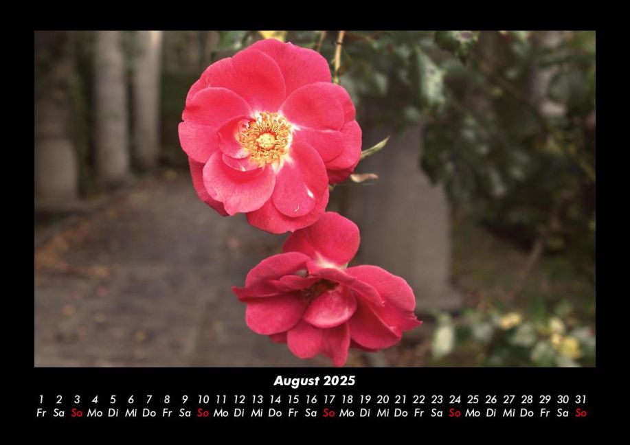 InsideView 12