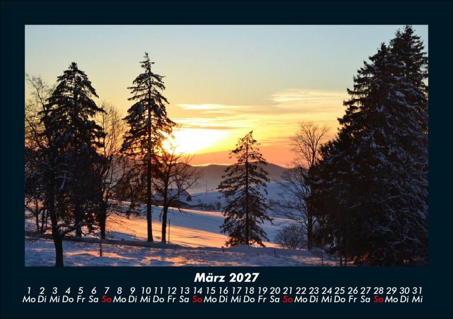 InsideView 7