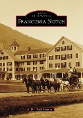 Cover-Bild zum Titel 'Franconia Notch' von 'Erin Paul Donovan'