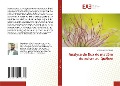 Cover-Bild zum Titel 'Analyse de flux de matière du cuivre au Québec' von 'Ulrich Landry Compaore'