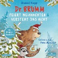 Cover-Bild zum Titel 'Dr. Brumm feiert Weihnachten / Dr. Brumm versteht das nicht (Dr. Brumm)' von 'Daniel Napp, Jan-Peter Pflug'