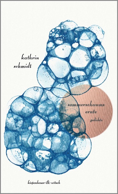 sommerschaums ernte - Kathrin Schmidt