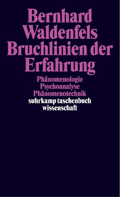 Bruchlinien der Erfahrung - Bernhard Waldenfels