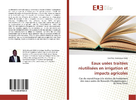 Eaux usées traitées réutilisées en irrigation et impacts agricoles - Geoffroy Dominique Bado