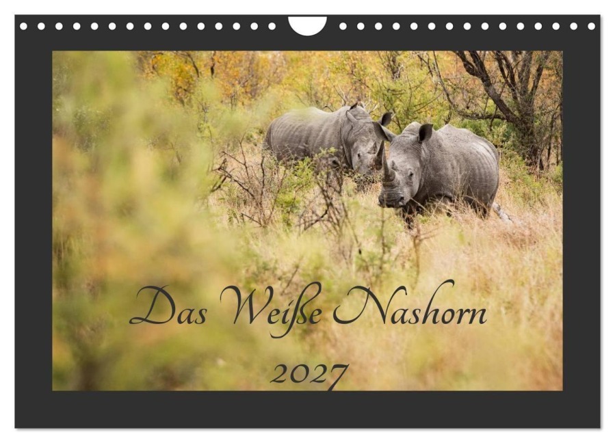 Das Weiße Nashorn (Wandkalender 2027 DIN A4 quer), CALVENDO Monatskalender - (c)Kirsten und Holger Karius