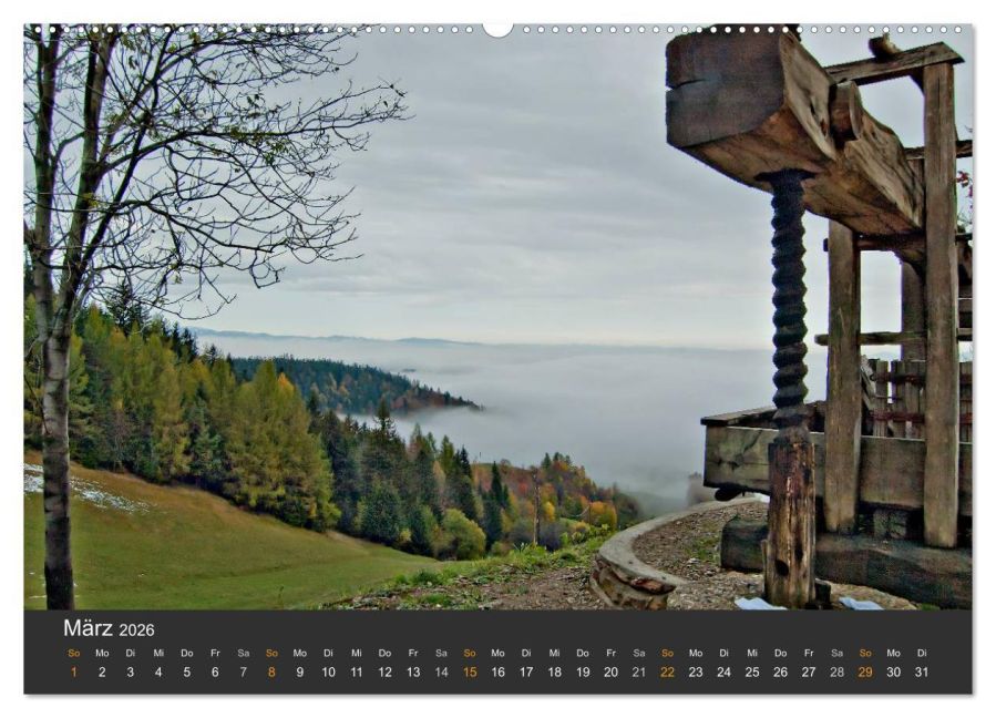 InsideView 7
