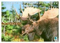 Elche: Nordische Riesen (Tischkalender 2024 DIN A5 quer), CALVENDO Monatskalender - Calvendo Calvendo