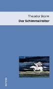 Cover-Bild zum Titel 'Der Schimmelreiter' von 'Theodor Storm'