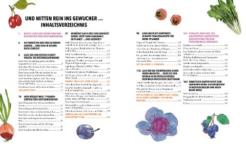 InsideView 1