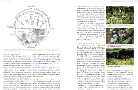 InsideView 2