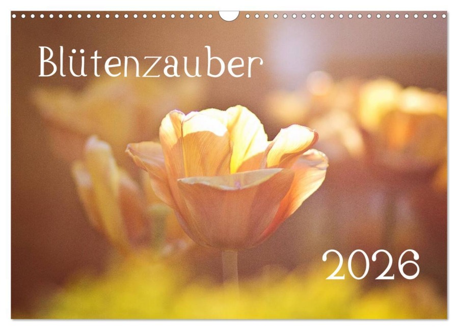 Blütenzauber 2026 (Wandkalender 2026 DIN A3 quer), CALVENDO Monatskalender - Anett Petrich