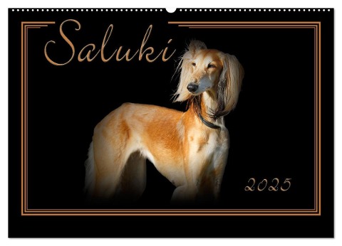 Saluki 2025 (Wandkalender 2025 DIN A2 quer), CALVENDO Monatskalender - Andrea Redecker