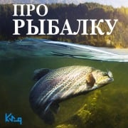 Cover-Bild zum Titel 'Pro rybalku' von 'Valery Tyurin'