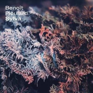 Sylva - Benoit Pioulard