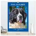 Familienplaner Landseer - Freund und Retter (hochwertiger Premium Wandkalender 2025 DIN A2 hoch), Kunstdruck in Hochglanz - Sigrid Starick