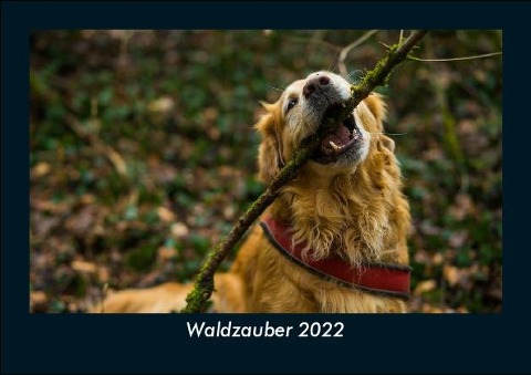 Waldzauber 2022 Fotokalender DIN A5 - Tobias Becker
