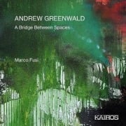 Cover-Bild zum Titel 'A Bridge between Spaces' von 'Marco/Greenwald Fusi'