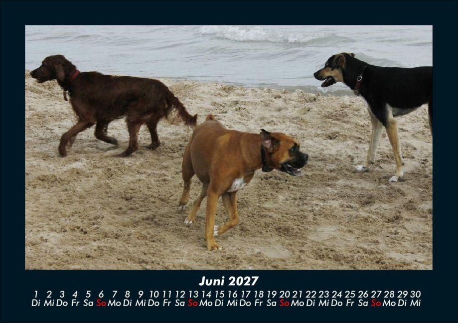 InsideView 10