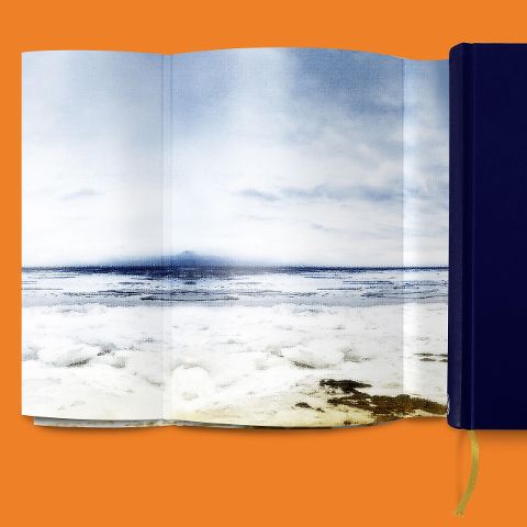 InsideView 3