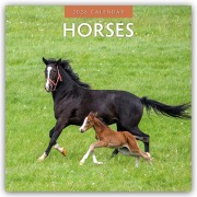 Horses - Pferde 2026 - 16-Monatskalender - Robin Red