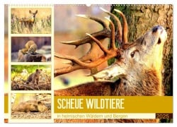 Scheue Wildtiere in heimischen Wäldern und Bergen (Wandkalender 2025 DIN A2 quer), CALVENDO Monatskalender - Rose Hurley