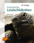 Cover-Bild zum Titel 'Griechische Landschildkröten' von 'Rainer Zirngibl'