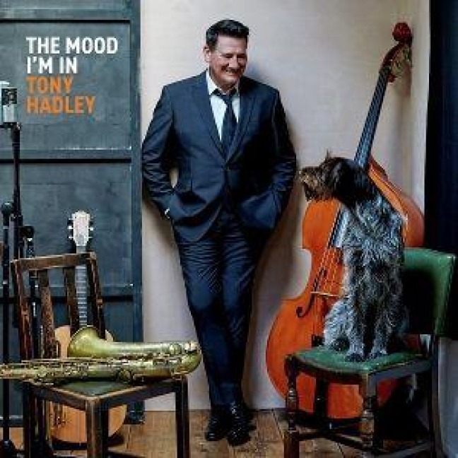 The Mood I'm In - Tony Hadley