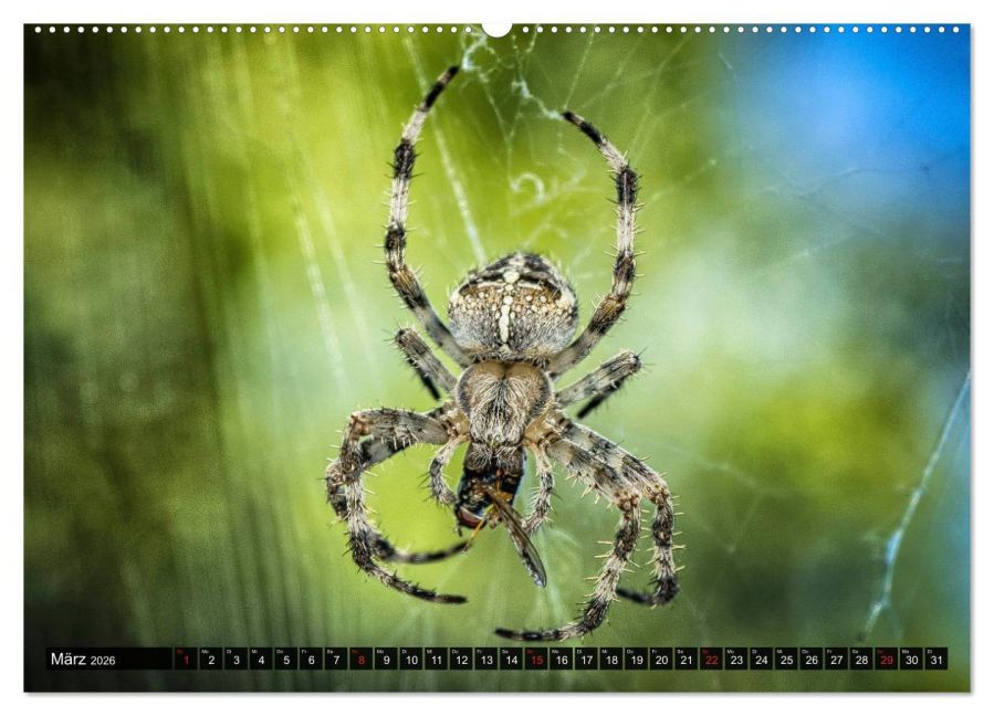 InsideView 8