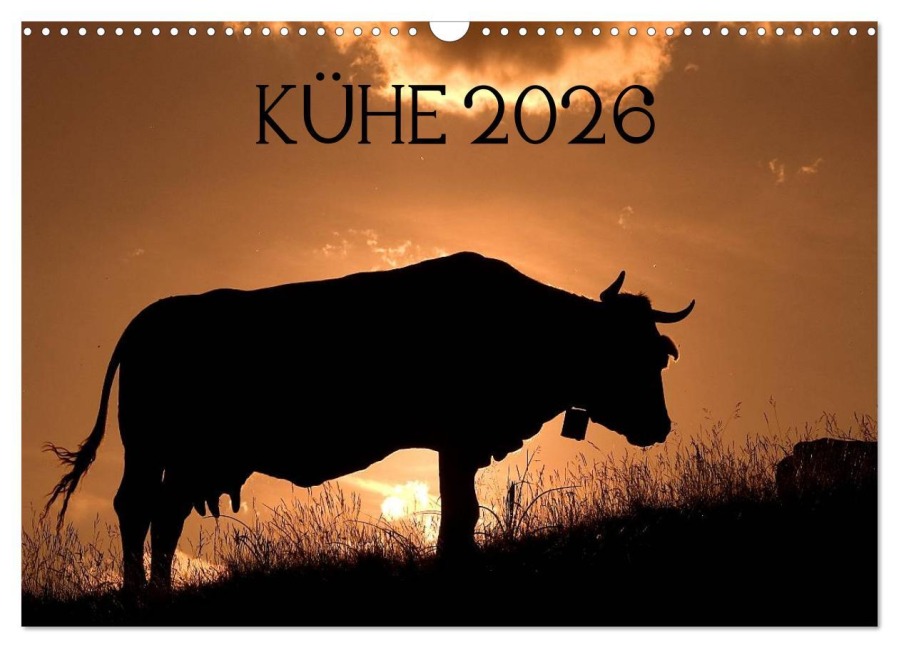 Kühe 2026 (Wandkalender 2026 DIN A3 quer), CALVENDO Monatskalender - Jorge Ruiz Del Olmo