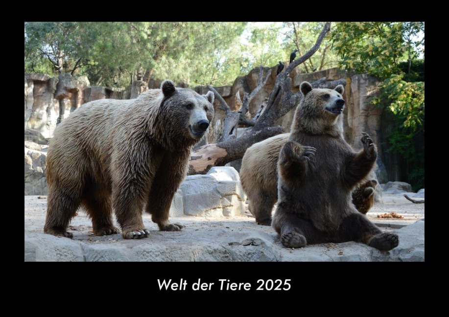 Welt der Tiere 2025 Fotokalender DIN A3 - Tobias Becker