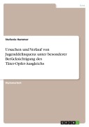 Cover-Bild zum Titel 'Ursachen und Verlauf von Jugenddelinquenz unter besonderer Berücksichtigung des Täter-Opfer-Ausgleichs' von 'Stefanie Hammer'