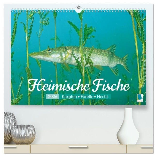 Heimische Fische: Karpfen, Forelle, Hecht (hochwertiger Premium Wandkalender 2026 DIN A2 quer), Kunstdruck in Hochglanz - Calvendo Calvendo