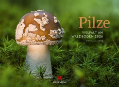 Cover-Bild zum Titel 'Pilze Kalender 2026 | Vielfalt am Waldboden' von 'Timm Hasselmeyer, Ackermann Kunstverlag GmbH'