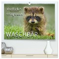 Waschbär - Niedlicher Allesfresser (hochwertiger Premium Wandkalender 2024 DIN A2 quer), Kunstdruck in Hochglanz - Peter Roder