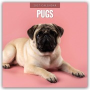 Cover-Bild zum Titel 'Pugs - Mops 2027 - 16-Monatskalender' von 'Robin Red'