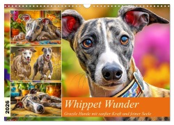 Whippet Wunder. Grazile Hunde mit sanfter Kraft und feiner Seele (Wandkalender 2026 DIN A3 quer), CALVENDO Monatskalender - Rose Hurley