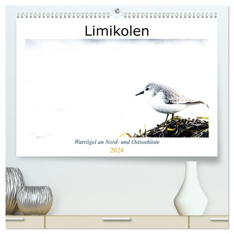 Limikolen - Watvögel an Nord- und Ostseeküste (hochwertiger Premium Wandkalender 2024 DIN A2 quer), Kunstdruck in Hochglanz - Christof Martin
