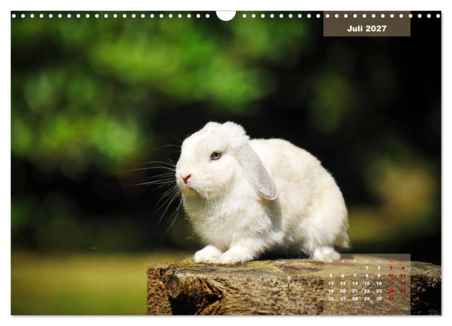 InsideView 12